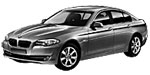 BMW F10 P20E5 Fault Code